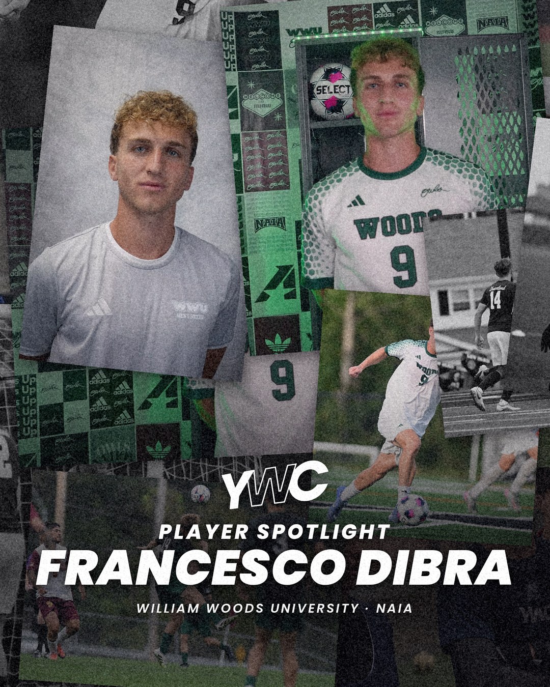 Francesco Dibra, Player Spotlight William Woods